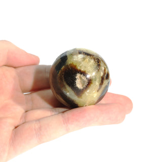 Septarian Sphere - Extra Small #3 - 2"    from Stonebridge Imports