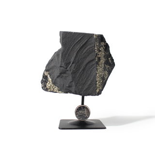 Pyrite on Basalt Specimen on Stand #4 from Stonebridge Imports