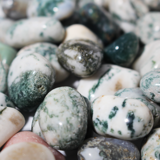 Green Tree Agate Tumbled Stones - India from Stonebridge Imports
