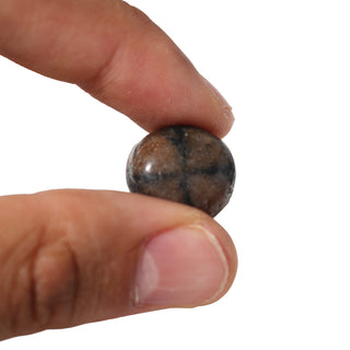 Chiastolite Tumbled Stones from Stonebridge Imports