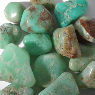 Chrysoprase E Tumbled Stones    from Stonebridge Imports