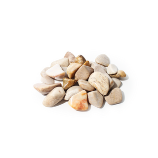 Agatized Coral Tumbled Stones Medium from Stonebridge Imports