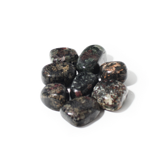 Eudialyte B Tumbled Stones Medium from Stonebridge Imports