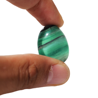 Fluorite Rainbow Tumbled from Stonebridge Imports