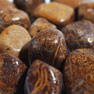 Calligraphy Jasper (Miriam Stone) Tumbled Stones