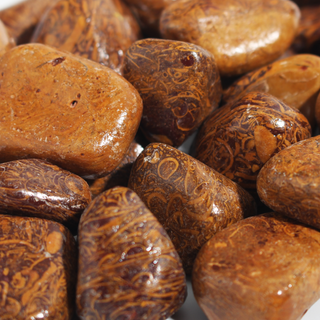 Calligraphy Jasper (Miriam Stone) Tumbled Stones