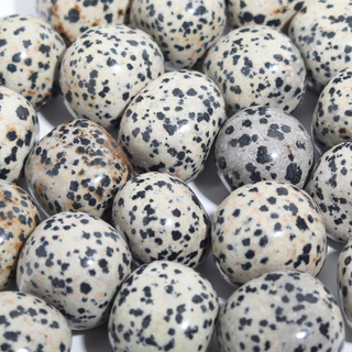 Dalmatian Jasper Tumbled Stones