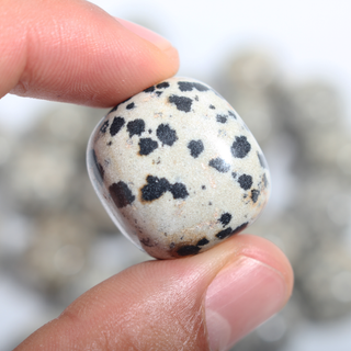 Dalmatian Jasper Tumbled Stones