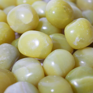 Green Jade Tumbled Stones from Stonebridge Imports