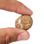 Fossil Jade Tumbled Stones from Stonebridge Imports