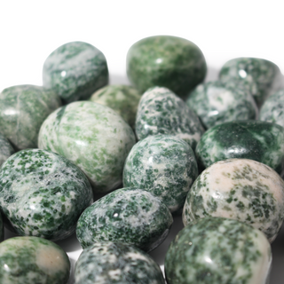 Green Spot Jasper Tumbled Stone from Stonebridge Imports