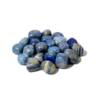 Lapis Lazuli B Tumbled Stones Large   from Stonebridge Imports