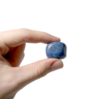 Lapis Lazuli B Tumbled Stones    from Stonebridge Imports