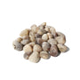 Blue Moonstone Tumbled Stones Medium from Stonebridge Imports