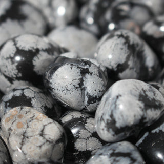 Obsidian Snowflake Tumbled Stones from Stonebridge Imports