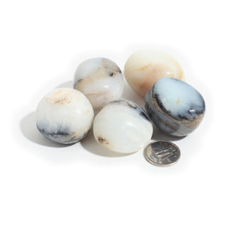 Large — Blue Opal Tumbled Stones, five polished milky white and sky-blue stones with black veins beside a Canadian dime for scale, photographed on a clean white background. Stonebridge Imports.