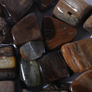 Petrified Wood Tumbled Stones    from Stonebridge Imports