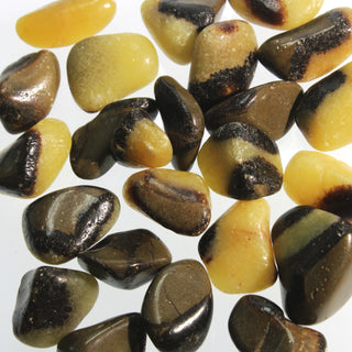 Septarian Tumbled Stones    from Stonebridge Imports