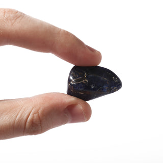 Sodalite Tumbled Stones - Namibia Medium   from Stonebridge Imports