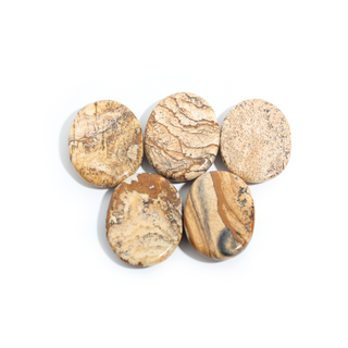 Picture Jasper Worry Stone - 5 Pack
