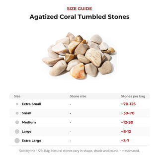 Agatized Coral Tumbled Stones from Stonebridge Imports