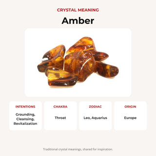 Amber Baltic E Tumbled Stones crystal meaning: intentions, chakras, zodiac and origin