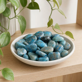 Apatite Blue Tumbled Stones from Stonebridge Imports