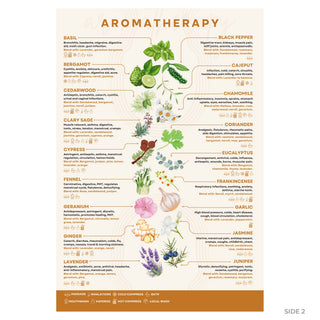 Aromatherapy guide back: 18 illustrated essential oils with traditional uses, blends and method icons