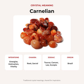 Carnelian Light Tumbled Stones - South Africa crystal meaning: intentions, chakras, zodiac and origin