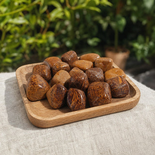 Calligraphy Jasper (Miriam Stone) Tumbled Stones from Stonebridge Imports