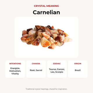 Carnelian E Tumbled Stones - Brazil from Stonebridge Imports