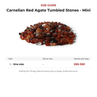 Carnelian Red Agate Tumbled Stones - Mini from Stonebridge Imports