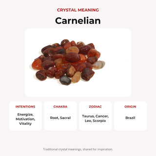 Carnelian Red Agate Tumbled Stones from Stonebridge Imports