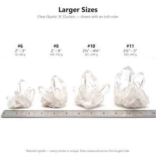 Size chart for larger clear quartz clusters #6, #8, #10 and #11 shown above an inch ruler with size and weight ranges