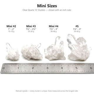 Size chart for mini clear quartz clusters Mini #2, #3, #4 and #5 shown above an inch ruler with size and weight ranges