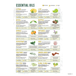 Essential oils guide front: 12 illustrated oil profiles from lemon and lime to tea tree and ylang ylang