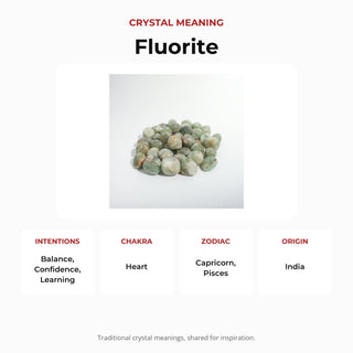 Green Fluorite Tumbled Stones - India from Stonebridge Imports