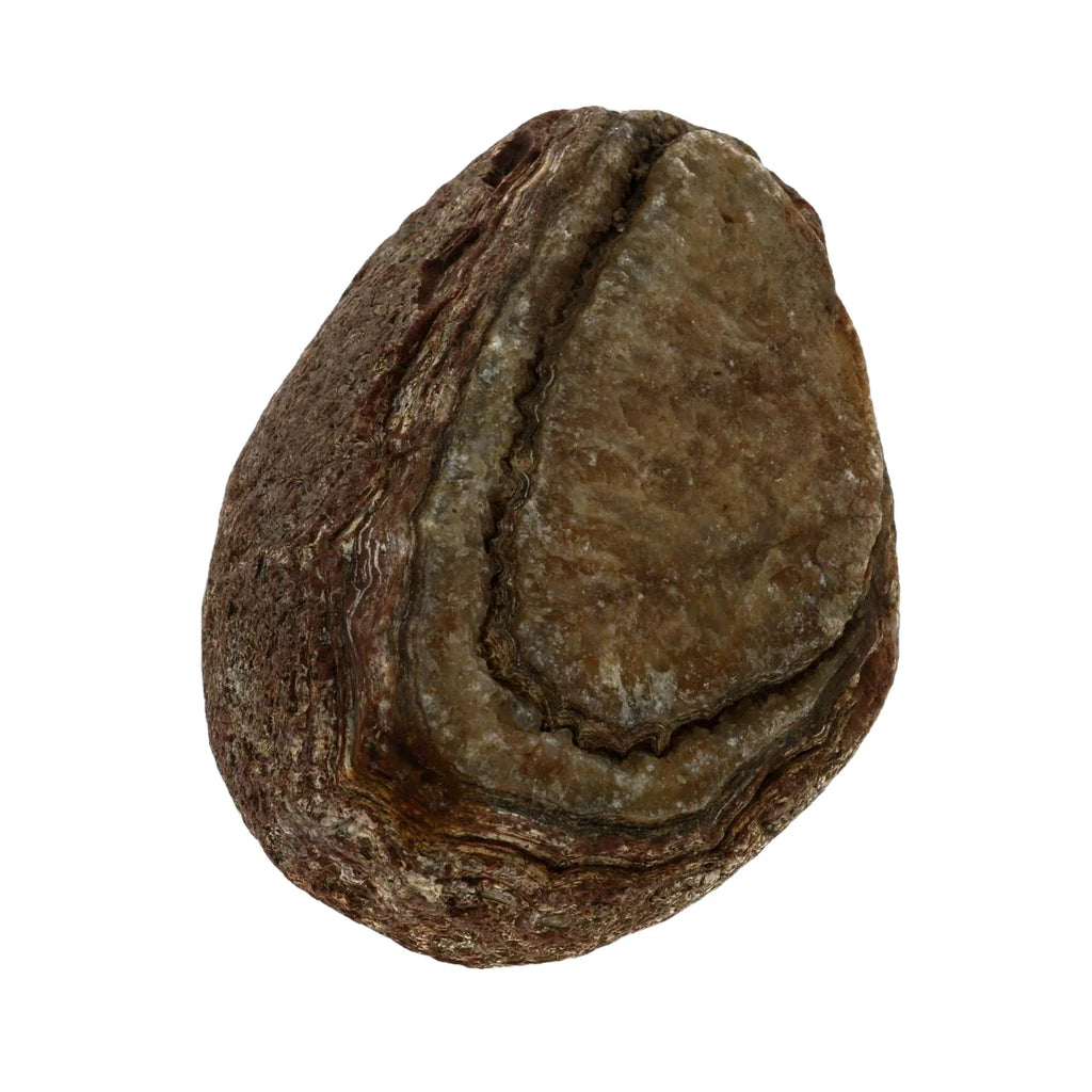 Agate Bahia Geode Chunks – Stonebridge Imports