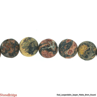Red Leopardskin Jasper Bead Strand from Stonebridge Imports