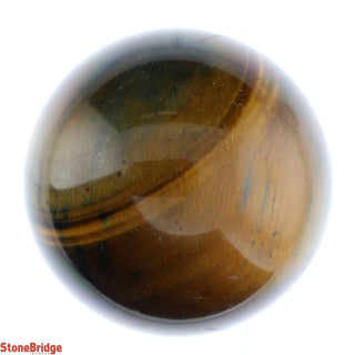 Tiger Eye Sphere from Stonebridge Imports