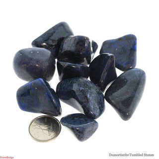 Dumortierite Tumbled Stones    from Stonebridge Imports