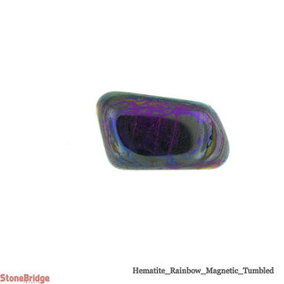 Rainbow Magnetic Hematite Polished - Pack Of 10    from Stonebridge Imports