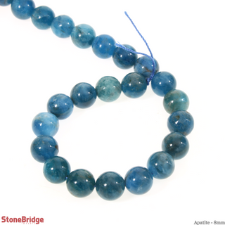 Apatite Bead Strand 7" - 8mm from Stonebridge Imports