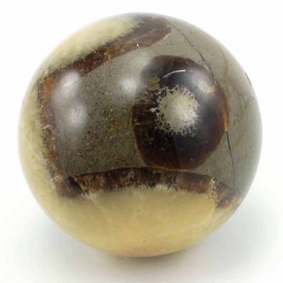 Septarian Sphere from Stonebridge Imports