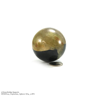 Septarian Sphere from Stonebridge Imports