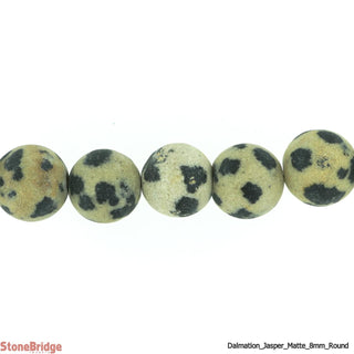 Dalmatian Jasper Bead Strand 15" - 6mm Matte from Stonebridge Imports