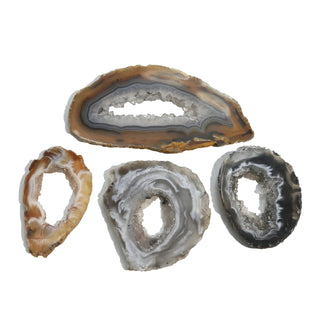 Agate Geode Slices - 4 Pack    from Stonebridge Imports