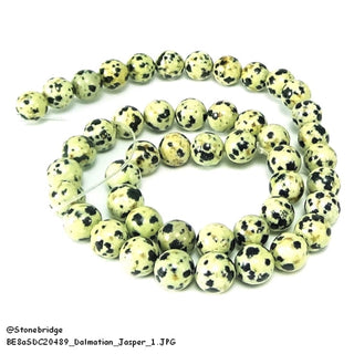 Dalmatian Jasper Bead Strand 15" - 6mm from Stonebridge Imports
