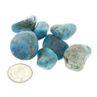 Apatite Blue Tumbled Stones    from Stonebridge Imports