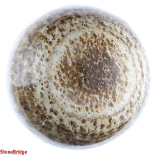 Aragonite Brown Sphere from Stonebridge Imports